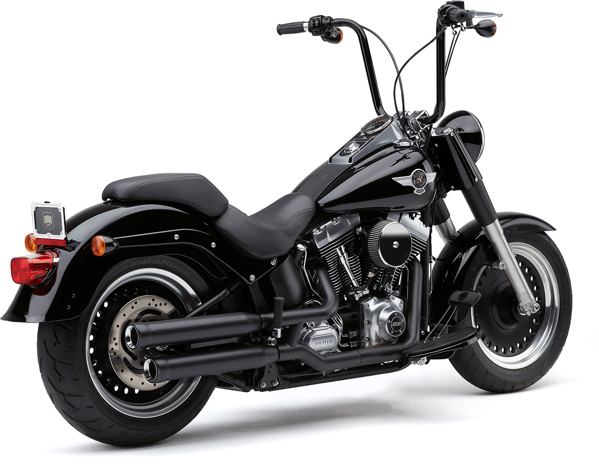 Cobra Neighbor Hater Slip-On Exhaust - 6041B