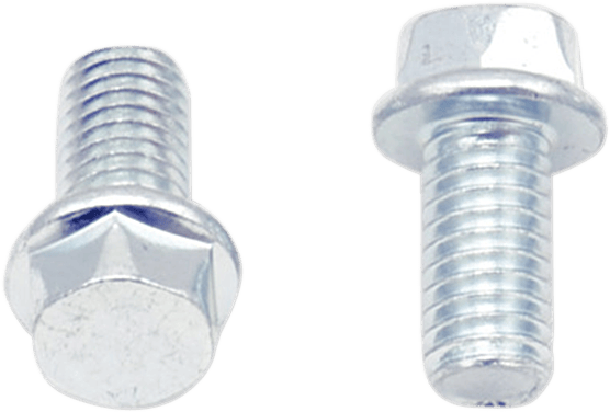 BOLT Flange Bolts
