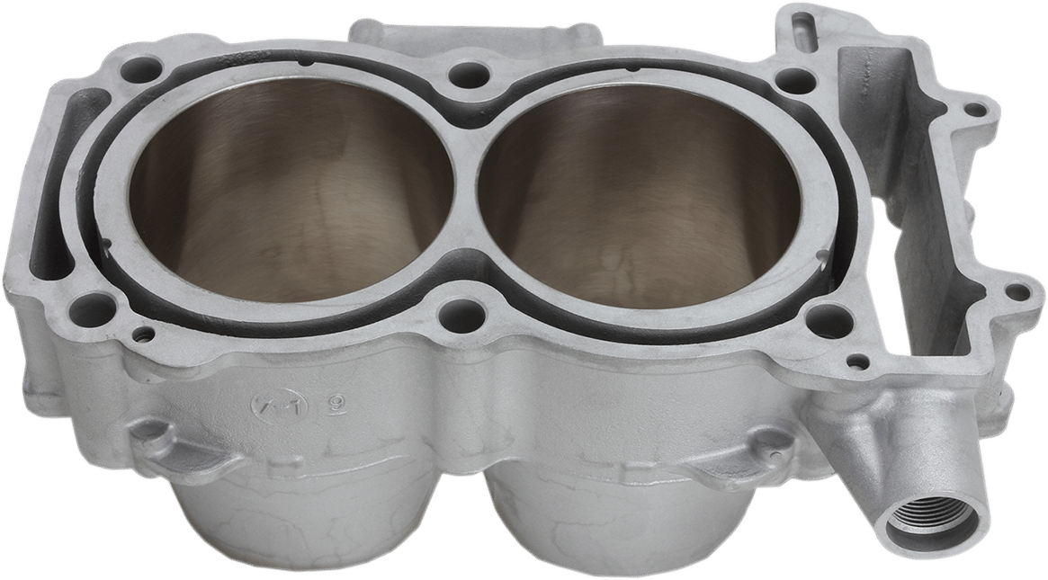 CYLINDER WORKS Polaris Cylinder Big Bore Kit - 60004