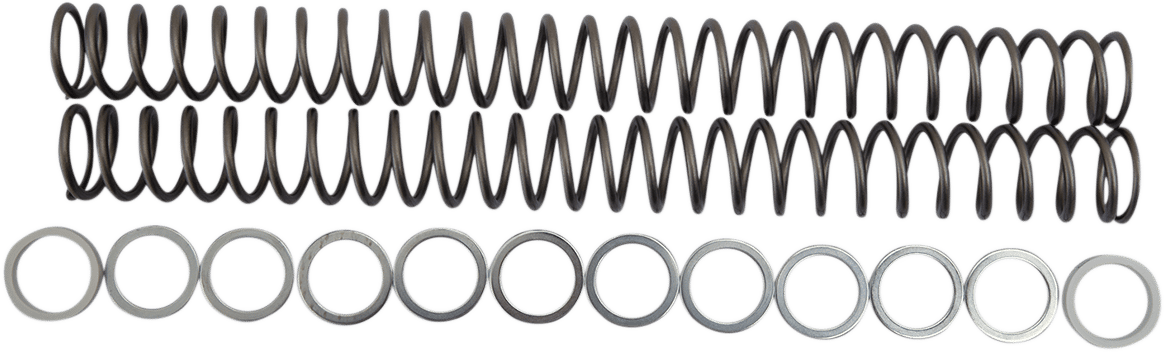 RACE TECH - FRSP 434648 - Fork Springs - 0.48 Kg/Mm - Husqvarna/Kawasaki/Ktm
