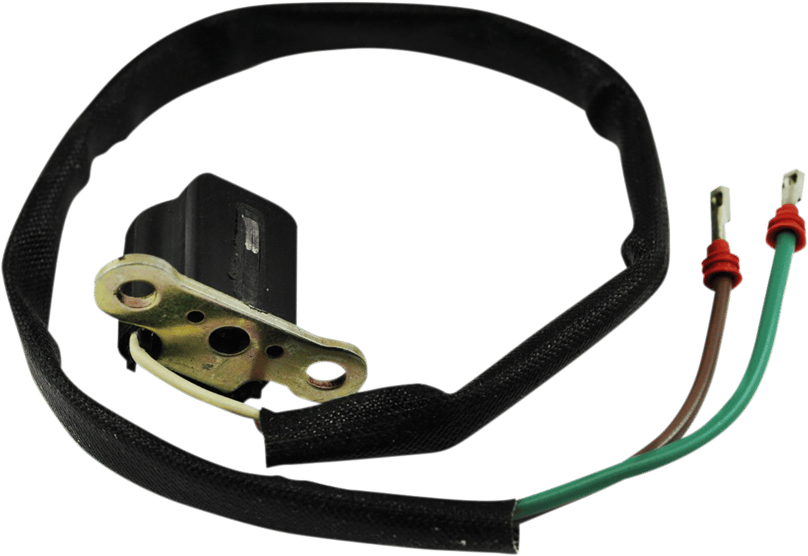 Pickup Coil Assembly - '93-'14 Arctic Cat
