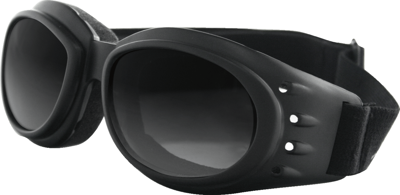 BOBSTER Cruiser II Goggle
