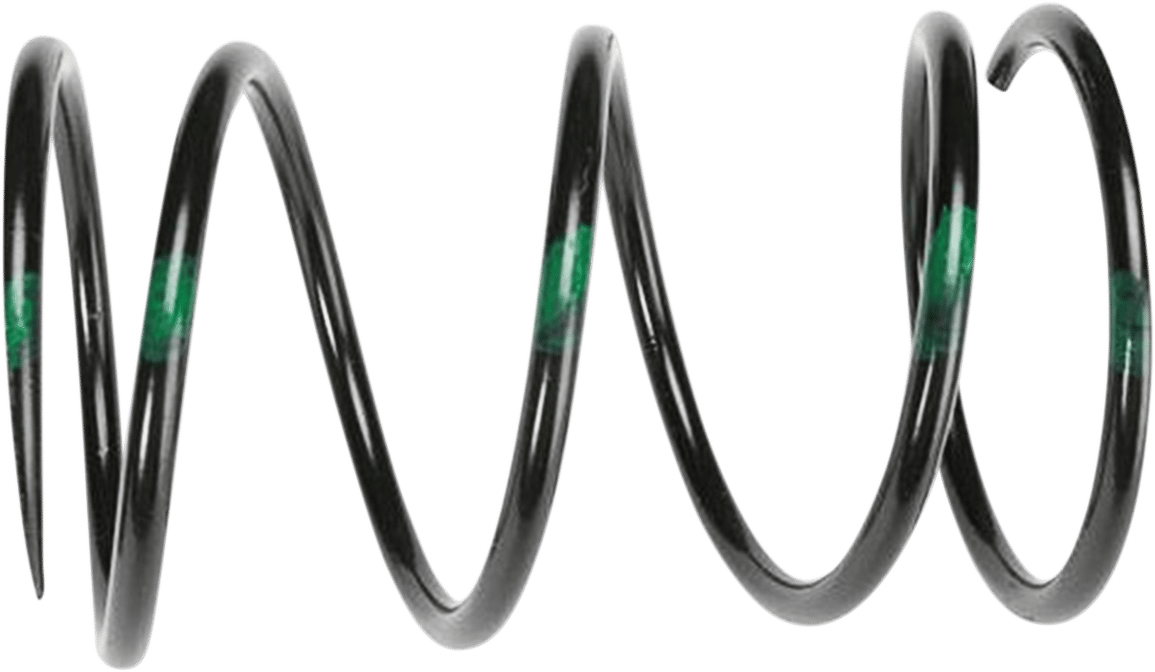 VENOM PRODUCTS - 210186 - Secondary Spring - Black/Green - Polaris