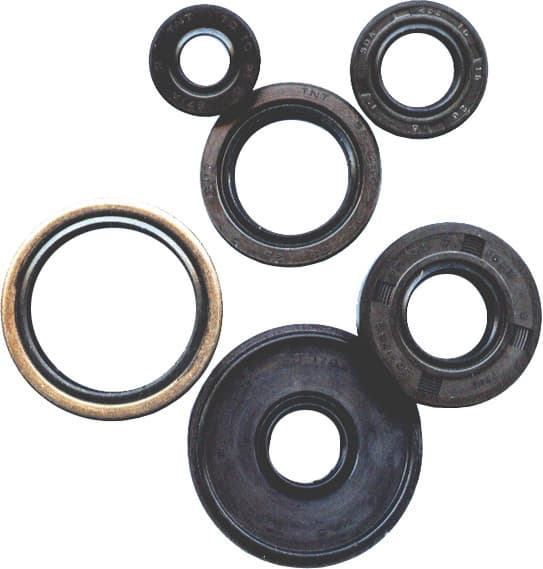 VERTEX - 822201 - Oil Seal Kit