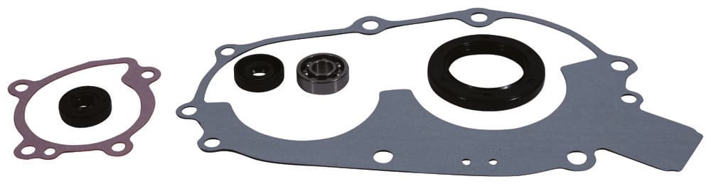 VERTEX Water Pump Rebuild Kit - 821808