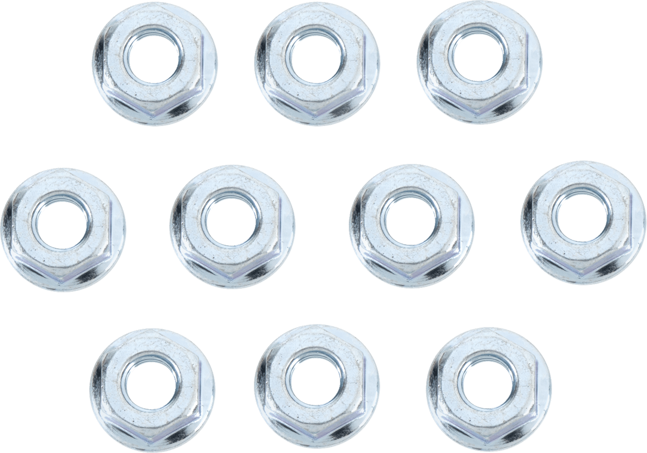 BOLT - 02110610 - Service Department Assortments