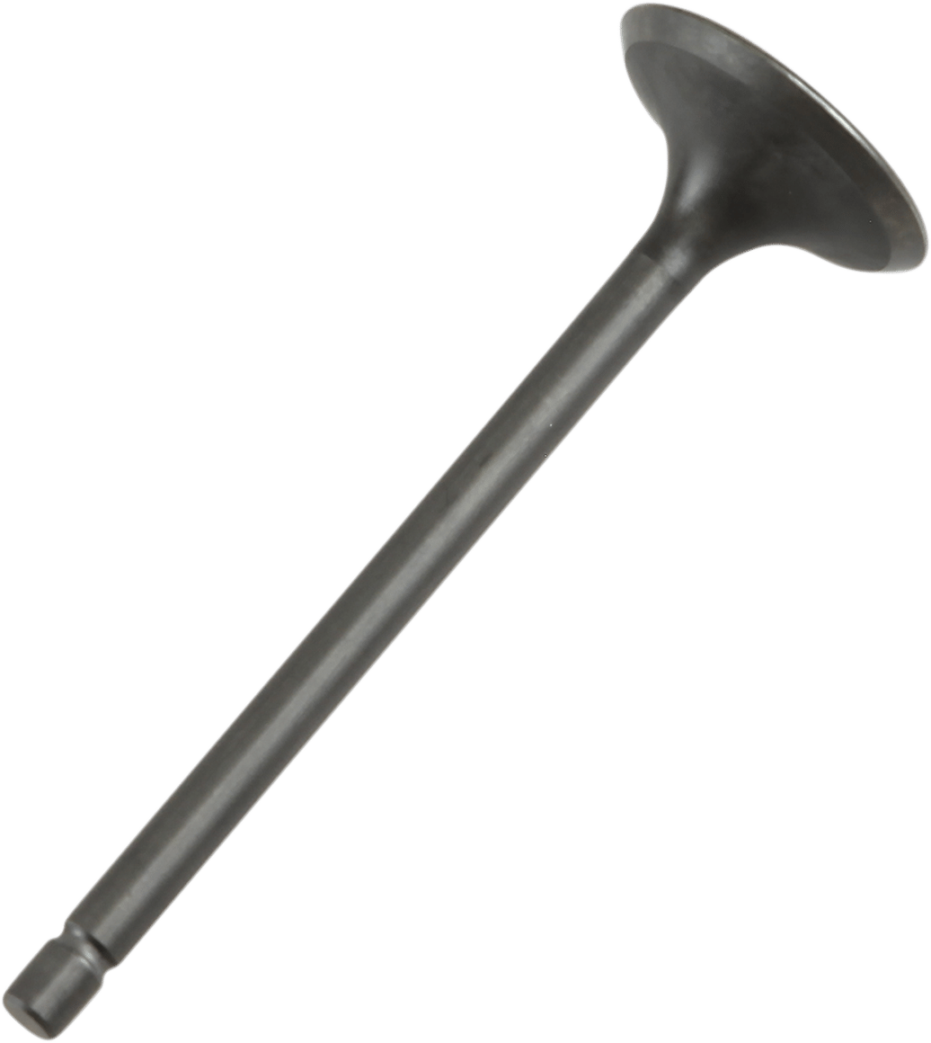 PROX Camshaft Valvetrain Intake Valve - 28.1381-2