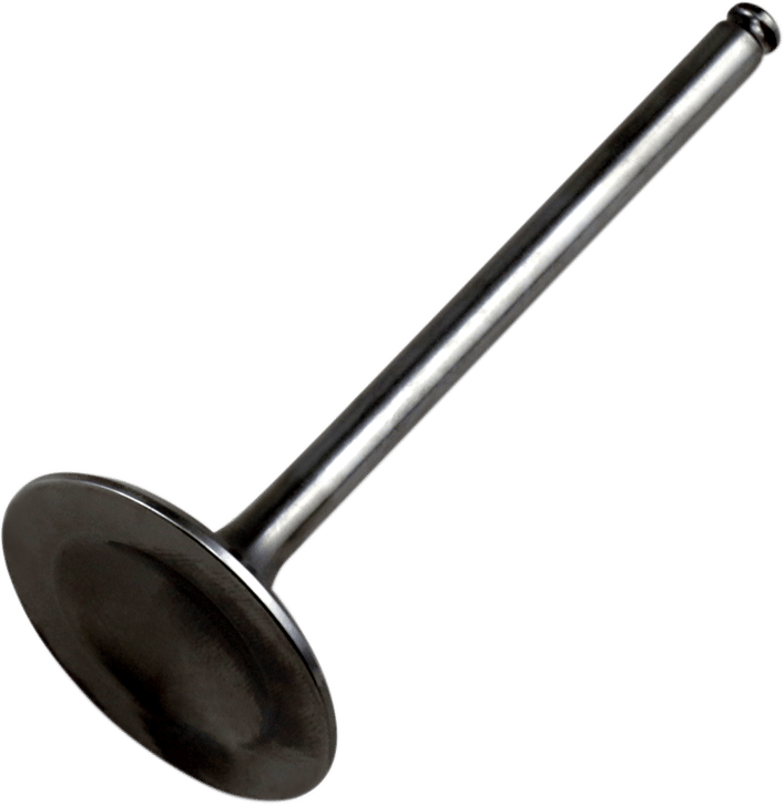 Hot Cams Valves & Parts Intake Valve - Titanium - Honda