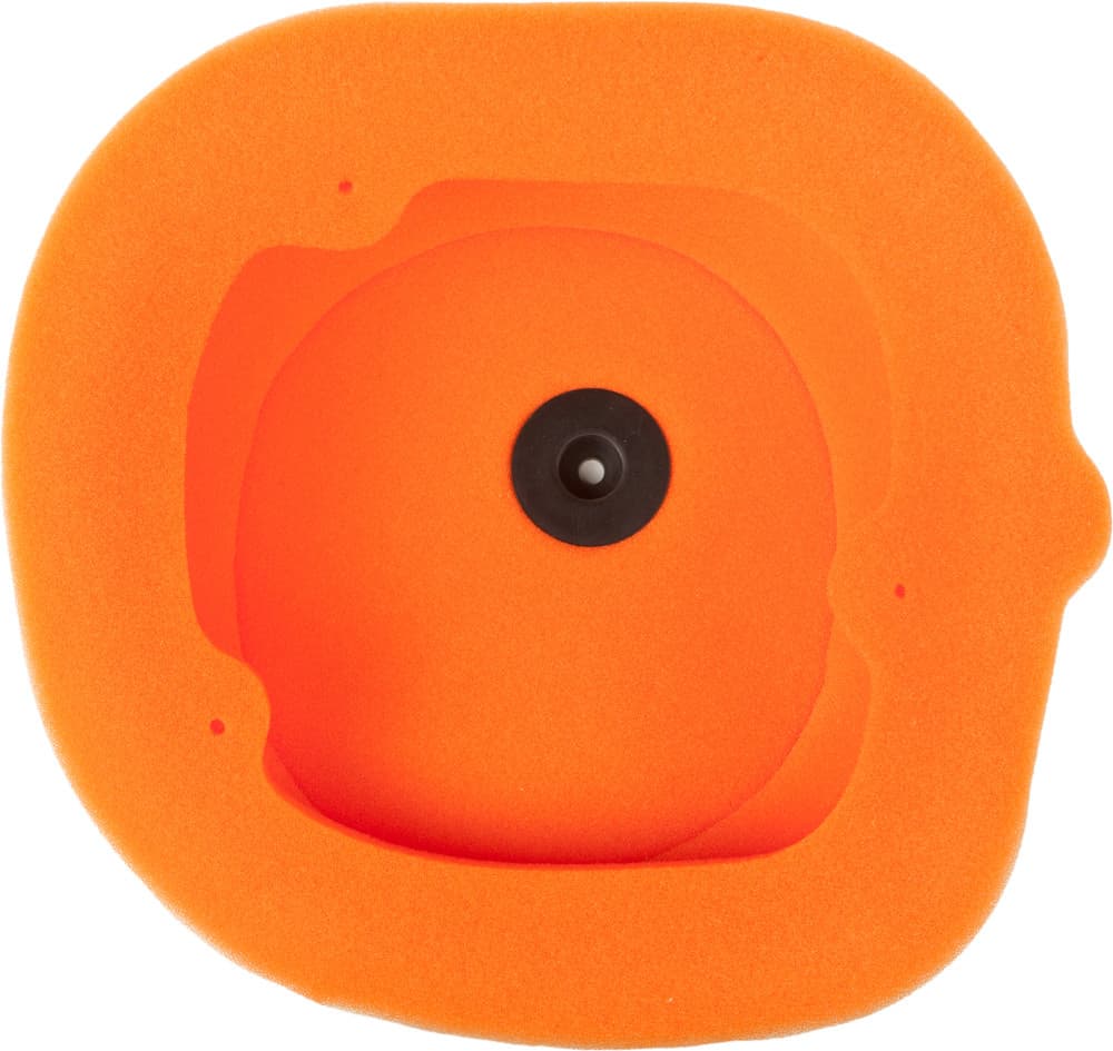 Twin Air Air Filter - 154114