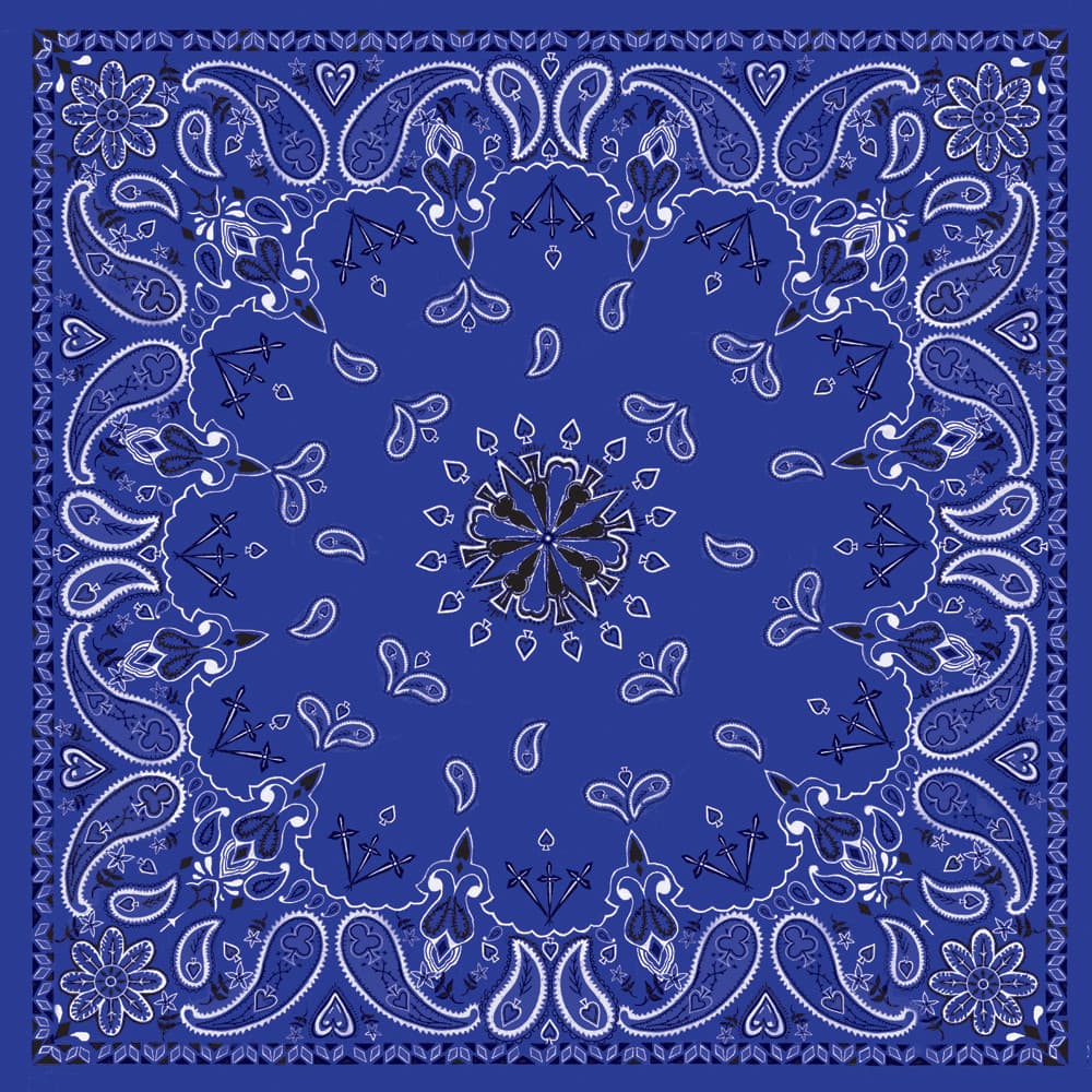 ZAN Bandanna