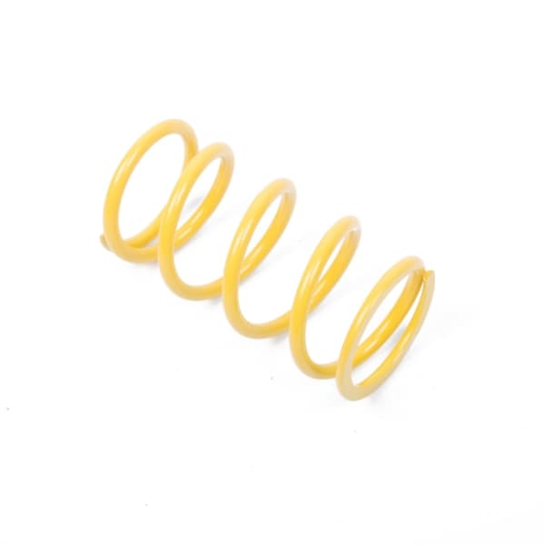 Primary Clutch Spring