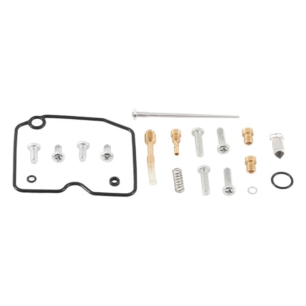 Carburetor Repair Kit