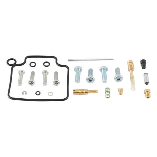 Carburetor Repair Kit