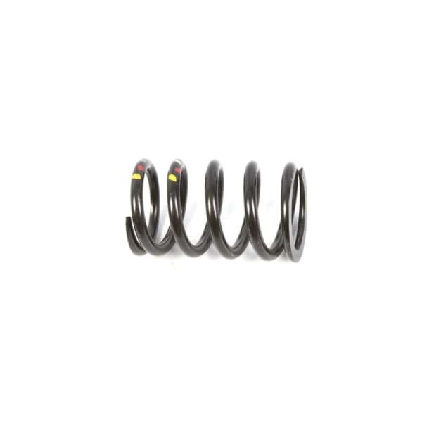 Pulley Spring