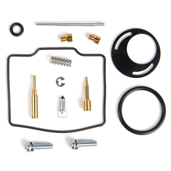 Carburetor Repair Kit