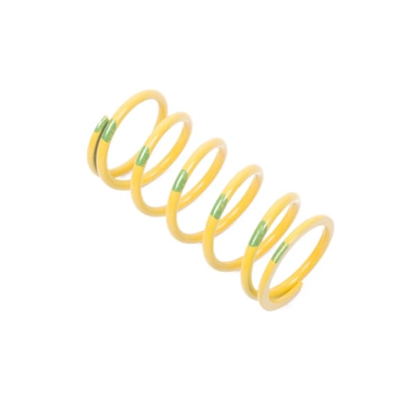 Primary Clutch Spring