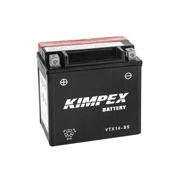 Battery Maintenance Free AGM