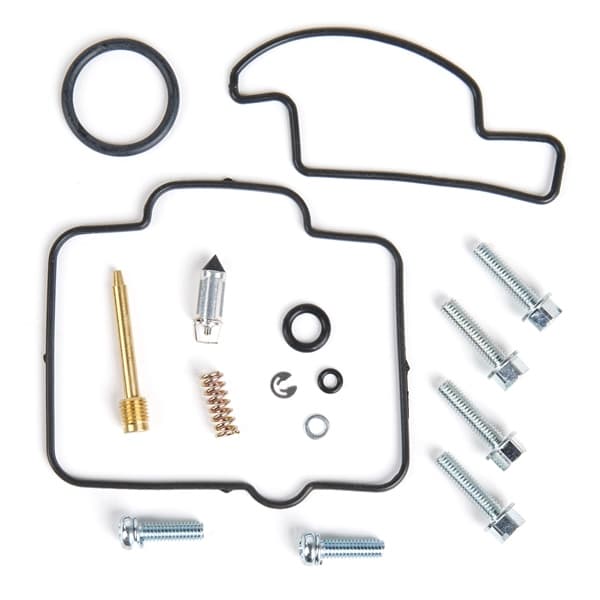 Carburetor Repair Kit
