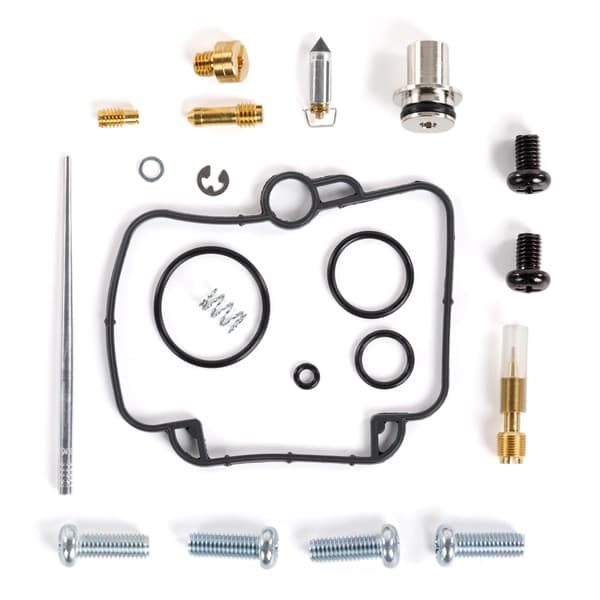 Carburetor Repair Kit