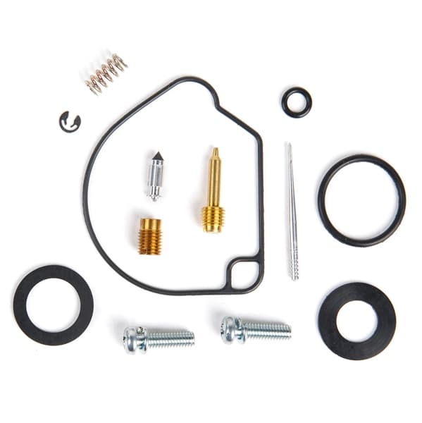 Carburetor Repair Kit