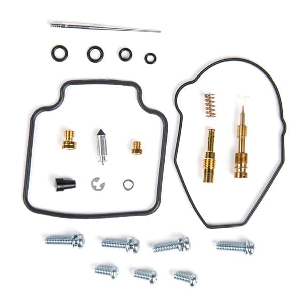 Carburetor Repair Kit