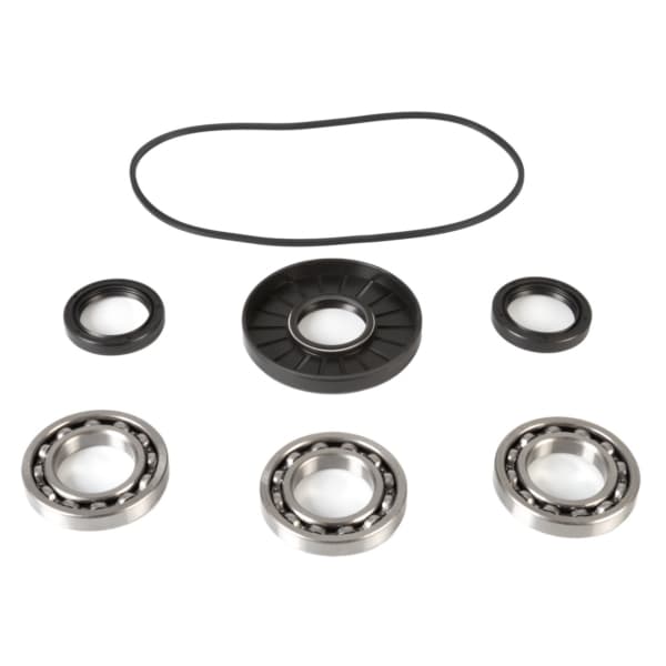 Differential Bearing & Seal Kit