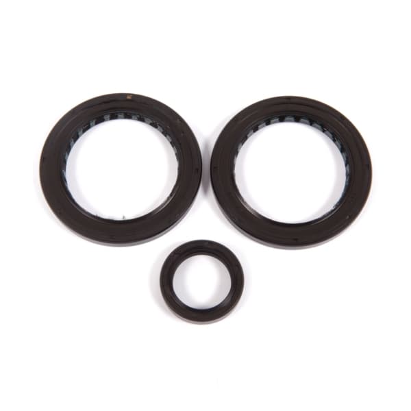 Differential Seal Kit