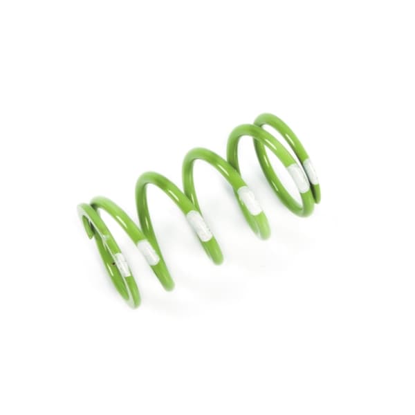 Primary Clutch Spring